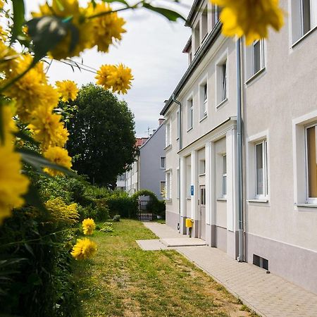 Apartament Na Wspolnej エルブロンク エクステリア 写真