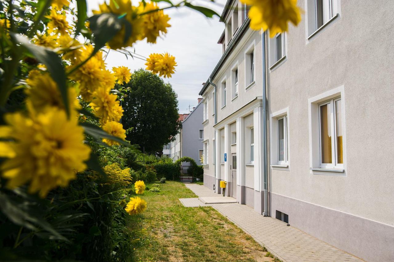 Apartament Na Wspolnej エルブロンク エクステリア 写真